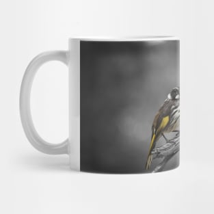 New Holland Honeyeater_20345A Mug